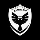 Amedspor Logo Autosticker