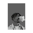 2pac Potrait (Vektor) PosterSchild